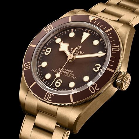 tudor bronz 3016|tudor black bay bronze case.